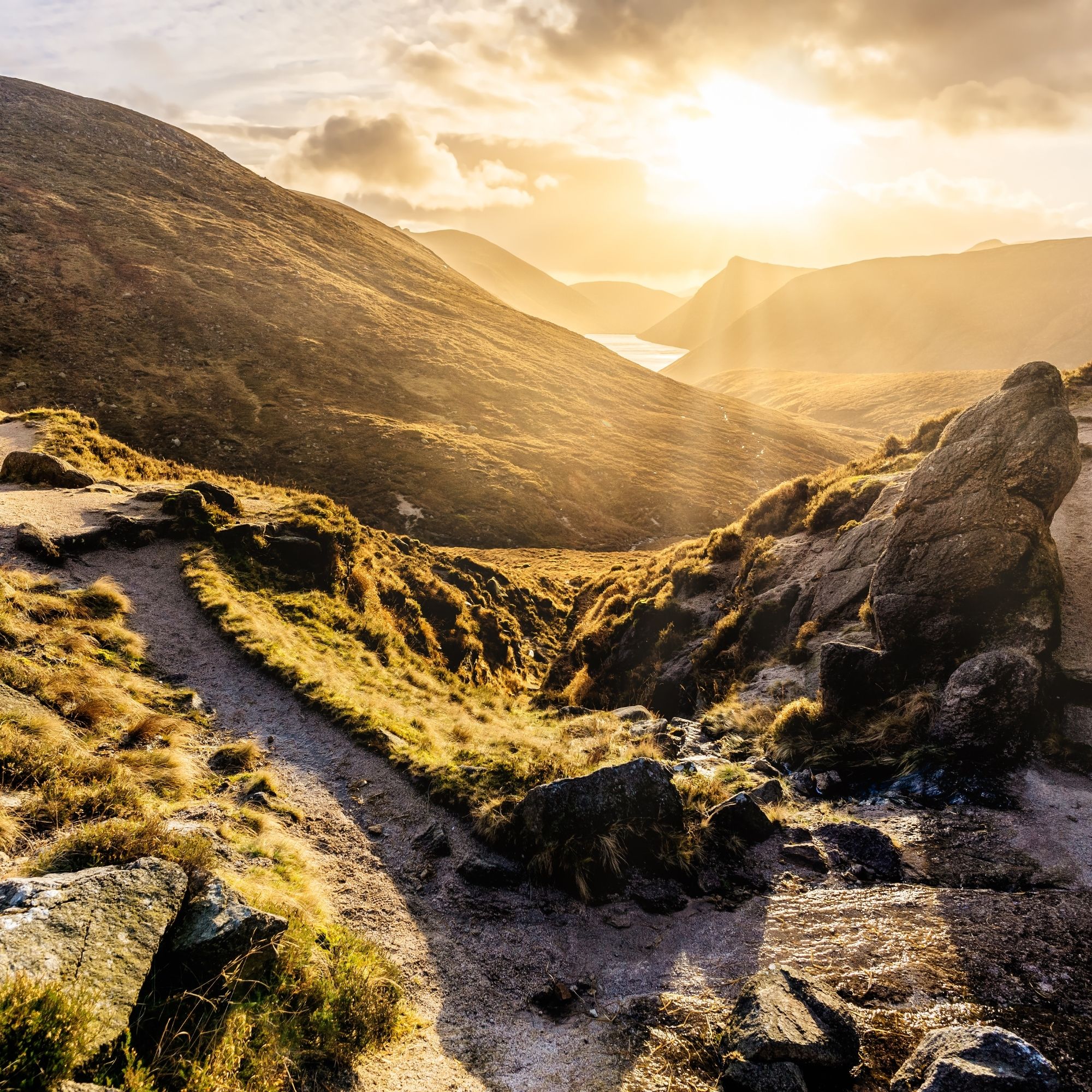 Northern Ireland regional property search