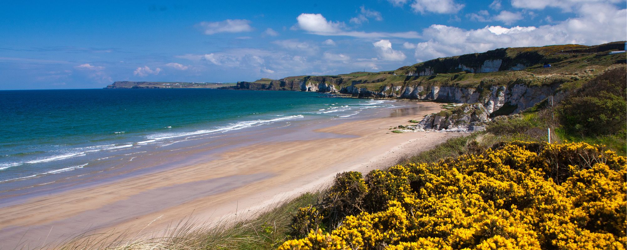 Portrush and Portstewart Property