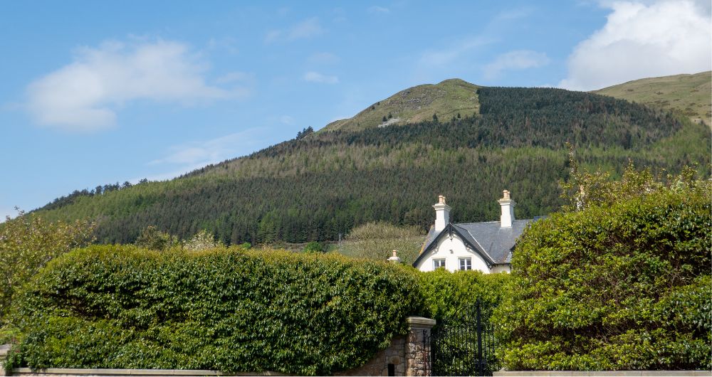 Northern Ireland Property in the Mourne area