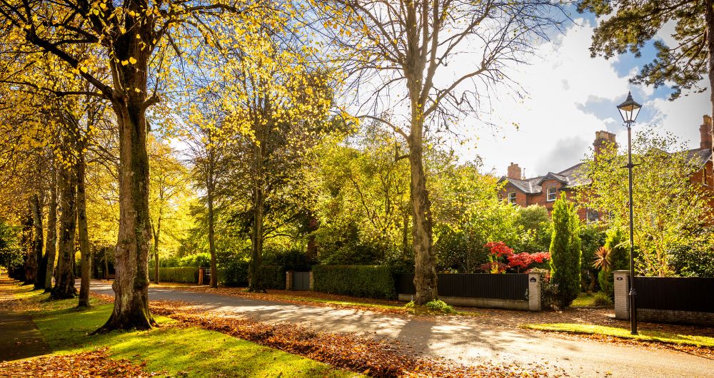 Quiet street and houses in Malone, South Belfast in Autumn