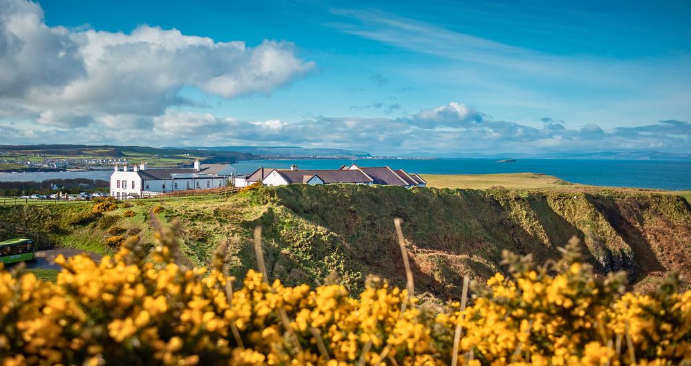 Cliffs and hexagonal stones at Giants Causeway, Northern Ireland