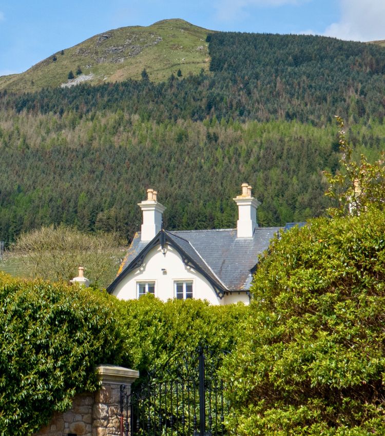 Northern Ireland Property Finder