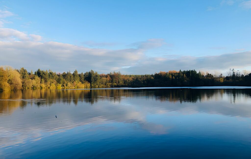 Hillsborough Forest Park, Royal Hillsborough
